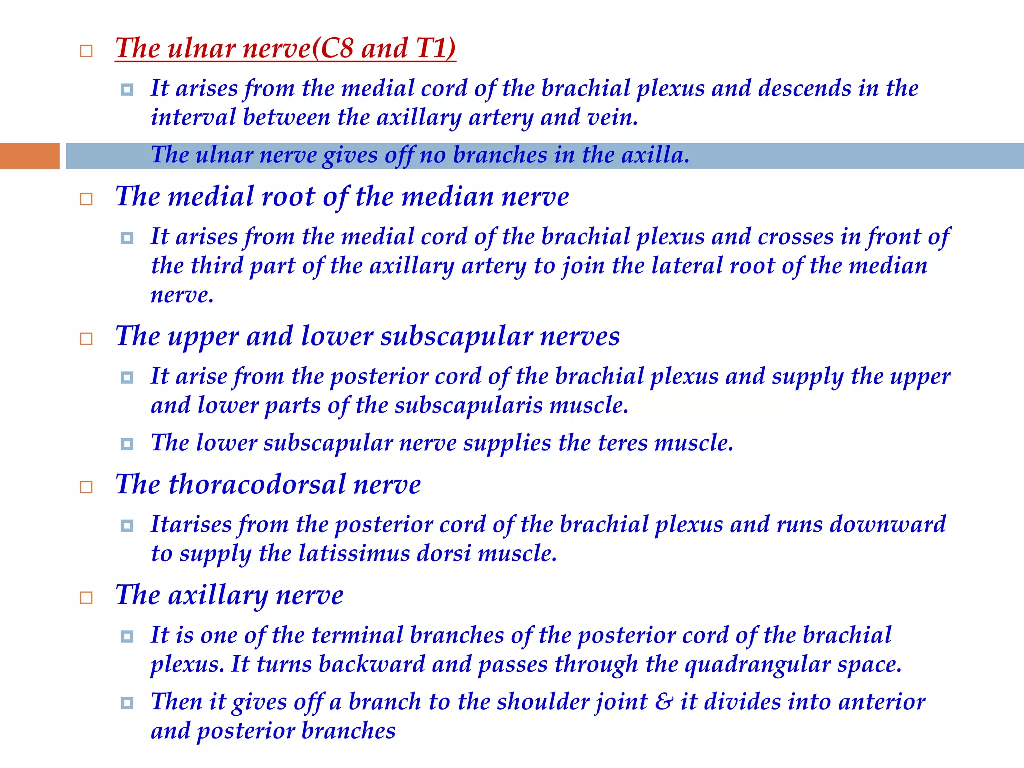  The ulnar nerve(C8 and T1)
 It arises from the medial cord of the brachial plexus and descends in the
interval between the axillary artery and vein.
 The ulnar nerve gives off no branches in the axilla.
 The medial root of the median nerve
 It arises from the medial cord of the brachial plexus and crosses in front of
the third part of the axillary artery to join the lateral root of the median
nerve.
 The upper and lower subscapular nerves
 It arise from the posterior cord of the brachial plexus and supply the upper
and lower parts of the subscapularis muscle.
 The lower subscapular nerve supplies the teres muscle.
 The thoracodorsal nerve
 Itarises from the posterior cord of the brachial plexus and runs downward
to supply the latissimus dorsi muscle.
 The axillary nerve
 It is one of the terminal branches of the posterior cord of the brachial
plexus. It turns backward and passes through the quadrangular space.
 Then it gives off a branch to the shoulder joint & it divides into anterior
and posterior branches
 