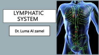 LYMPHATIC
SYSTEM
Dr. Luma Al zamel
 