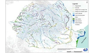 Romania Rivers System Romania Development of the River Basin Management Plan | PPTX