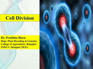 Cell Division
Dr. Pratibha Bisen
Dept. Plant Breeding & Genetics
College of Agriculture, Balaghat
JNKVV Jabalpur (M.P.)
 