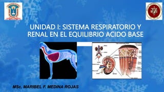 UNIDAD I: SISTEMA RESPIRATORIO Y
RENAL EN EL EQUILIBRIO ACIDO BASE
MSc. MARIBEL F. MEDINA ROJAS
 
