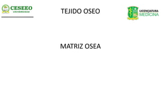 TEJIDO OSEO
MATRIZ OSEA
 