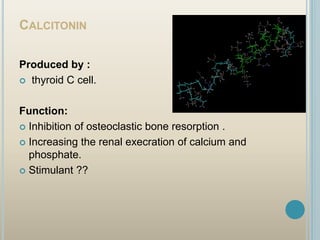 Calcium metabolism disorders | PPT