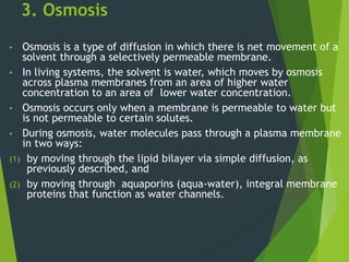 3. Osmosis
• Osmosis is a type of diffusion in which there is net movement of a
solvent through a selectively permeable membrane.
• In living systems, the solvent is water, which moves by osmosis
across plasma membranes from an area of higher water
concentration to an area of lower water concentration.
• Osmosis occurs only when a membrane is permeable to water but
is not permeable to certain solutes.
• During osmosis, water molecules pass through a plasma membrane
in two ways:
(1) by moving through the lipid bilayer via simple diffusion, as
previously described, and
(2) by moving through aquaporins (aqua-water), integral membrane
proteins that function as water channels.
 