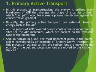 1. Primary Active Transport
 In this process of transportation, the energy is utilized from
breakdown of ATP that changes the shape of a carrier protein,
which “pumps” molecules across a plasma membrane against its
concentration gradient.
 Basically, the primary active transport uses external chemical
energy such as the ATP.
 All the groups of ATP powered pumps contain one or more binding
sites for the ATP molecules, which are present on the cytosolic
face of the membrane.
 Sodium-potassium pump, the most important pump in the animal
cell is considered as an example of primary active transport. In
this process of transportation, the sodium ions are moved to the
outside of the cell and potassium ions are moved to the inside of
the cell.
 