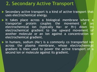 2. Secondary Active Transport
 Secondary active transport is a kind of active transport that
uses electrochemical energy.
 It takes place across a biological membrane where a
transporter protein couples the movement of an
electrochemical ion (typically Na+ or H+) down its
electrochemical gradient to the upward movement of
another molecule or an ion against a concentration or
electrochemical gradient.
 In humans, sodium (Na+) is a commonly co transported ion
across the plasma membrane, whose electrochemical
gradient is then used to power the active transport of a
second ion or molecule against its gradient.
 