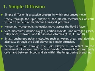 1. Simple Diffusion
 Simple diffusion is a passive process in which substances move
freely through the lipid bilayer of the plasma membranes of cells
without the help of membrane transport proteins.
 Nonpolar, hydrophobic molecules move across the lipid bilayer.
 Such molecules include oxygen, carbon dioxide, and nitrogen gases,
fatty acids, steroids, and fat-soluble vitamins (A, D, E, and K).
 Small, uncharged polar molecules such as water, urea, and alcohols
also pass through the lipid bilayer by simple diffusion.
 Simple diffusion through the lipid bilayer is important in the
movement of oxygen and carbon dioxide between blood and body
cells, and between blood and air within the lungs during breathing.
 