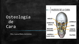 Osteología
de
Cara
Dra. Laura Mata Jerónimo
 