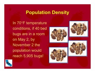 Population Density
In 70°F temperature
conditions, if 40 bed
bugs are in a room
on May 2, by
November 2 the
population would
reach 5,905 bugs!
 