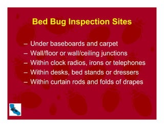 – Under baseboards and carpet
– Wall/floor or wall/ceiling junctions
– Within clock radios, irons or telephones
– Within desks, bed stands or dressers
– Within curtain rods and folds of drapes
Bed Bug Inspection Sites
 