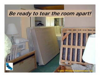 Be ready to tear the room apart!
©2002 Western Exterminator Co.
 