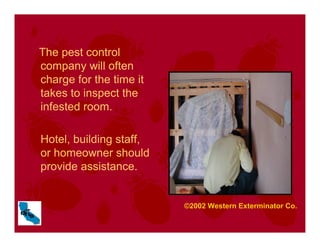 The pest control
company will often
charge for the time it
takes to inspect the
infested room.
Hotel, building staff,
or homeowner should
provide assistance.
©2002 Western Exterminator Co.
 
