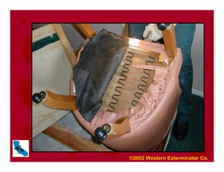 ©2002 Western Exterminator Co.
 