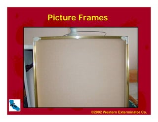 Picture Frames
©2002 Western Exterminator Co.
 