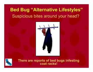 Bed Bug “Alternative Lifestyles”
Suspicious bites around your head?
There are reports of bed bugs infesting
coat racks!
 