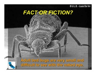 FACT OR FICTION?
Adult bed bugs are very small and
Adult bed bugs are very small and
difficult to see with the naked eye.
difficult to see with the naked eye.
 