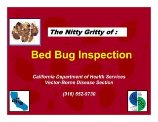 Bed Bug Inspection
“
The Nitty Gritty of :
California Department of Health Services
Vector-Borne Disease Section
(916) 552-9730
 