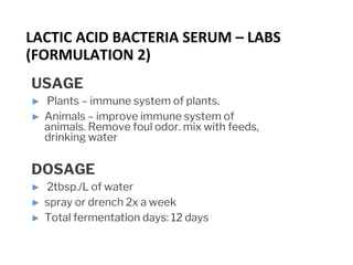 USAGE
► Plants – immune system of plants.
► Animals – improve immune system of
animals. Remove foul odor. mix with feeds,
drinking water
DOSAGE
► 2tbsp./L of water
► spray or drench 2x a week
► Total fermentation days: 12 days
LACTIC ACID BACTERIA SERUM – LABS
(FORMULATION 2)
 