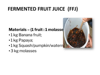 FERMENTED FRUIT JUICE (FFJ)
Materials – (1 fruit : 1 molasses)
• 1 kg Banana fruit;
• 1 kg Papaya;
• 1 kg Squash/pumpkin/watermelon
• 3 kg molasses
 