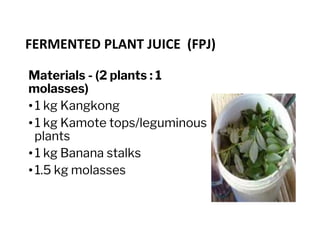 FERMENTED PLANT JUICE (FPJ)
Materials - (2 plants : 1
molasses)
• 1 kg Kangkong
• 1 kg Kamote tops/leguminous
plants
• 1 kg Banana stalks
• 1.5 kg molasses
 