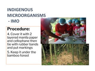 Procedure:
4. Cover it with 2
layered manila paper
and cellophane then
tie with rubber bands
and put markings
5. Keep it under the
bamboo forest
INDIGENOUS
MICROORGANISMS
- IMO
 