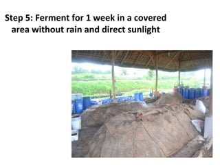 Step 5: Ferment for 1 week in a covered
area without rain and direct sunlight
 