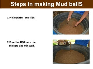 Steps in making Mud ballS
1.Mix Bokashi and soil.
2.Pour the IMO onto the
mixture and mix well.
 