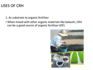 USES OF CRH
1. As substrate to organic fertilizer
• When mixed with other organic materials like bokashi, CRH
can be a good source of organic fertilizer (OF)
 