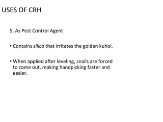 USES OF CRH
5. As Pest Control Agent
• Contains silica that irritates the golden kuhol.
• When applied after leveling, snails are forced
to come out, making handpicking faster and
easier.
 