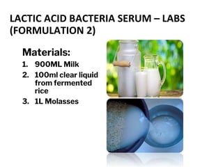 LACTIC ACID BACTERIA SERUM – LABS
(FORMULATION 2)
Materials:
1. 900ML Milk
2. 100ml clear liquid
from fermented
rice
3. 1L Molasses
 