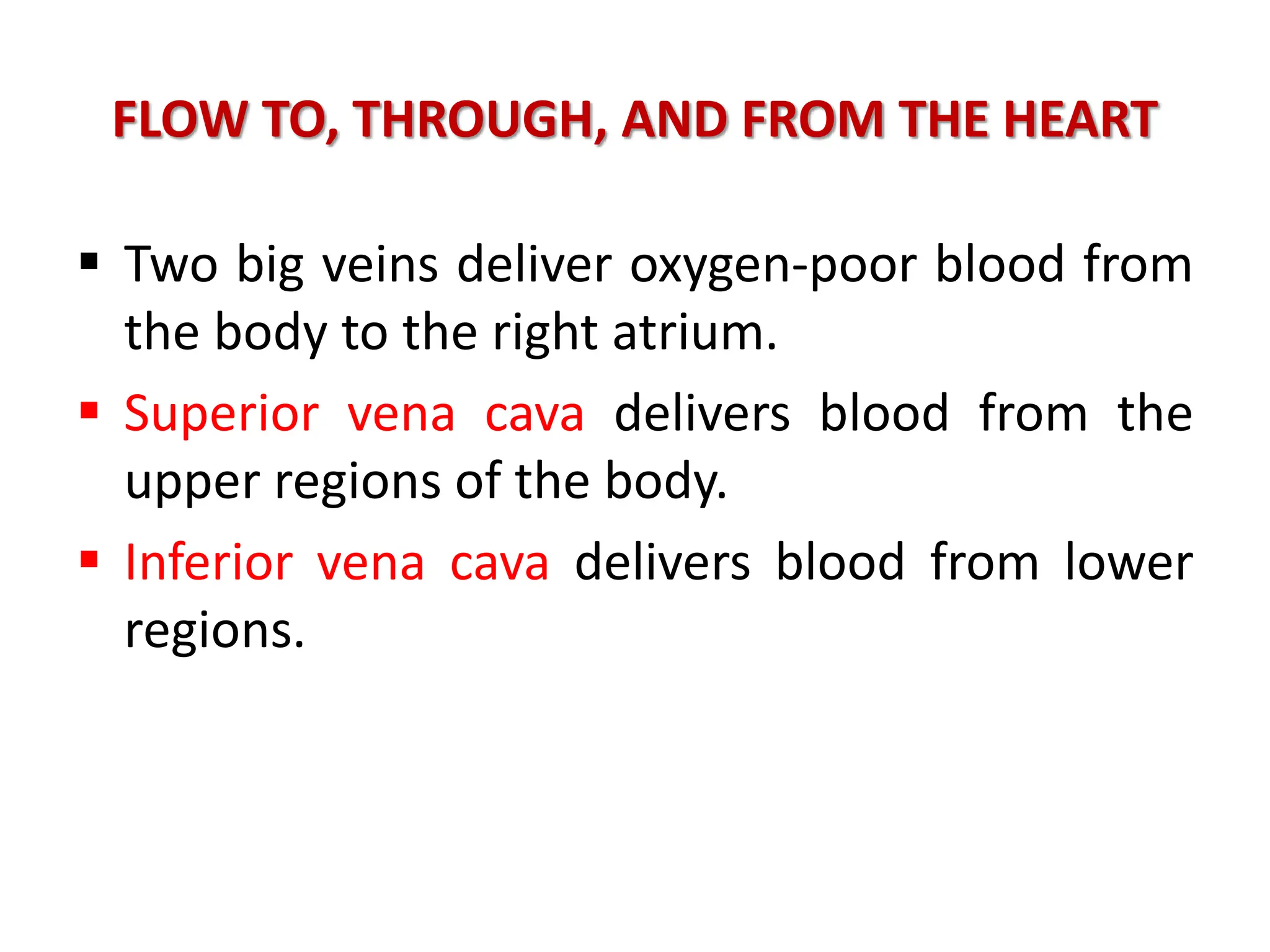 FLOW TO, THROUGH, AND FROM THE HEART
 Two big veins deliver oxygen-poor blood from
the body to the right atrium.
 Superior vena cava delivers blood from the
upper regions of the body.
 Inferior vena cava delivers blood from lower
regions.
 