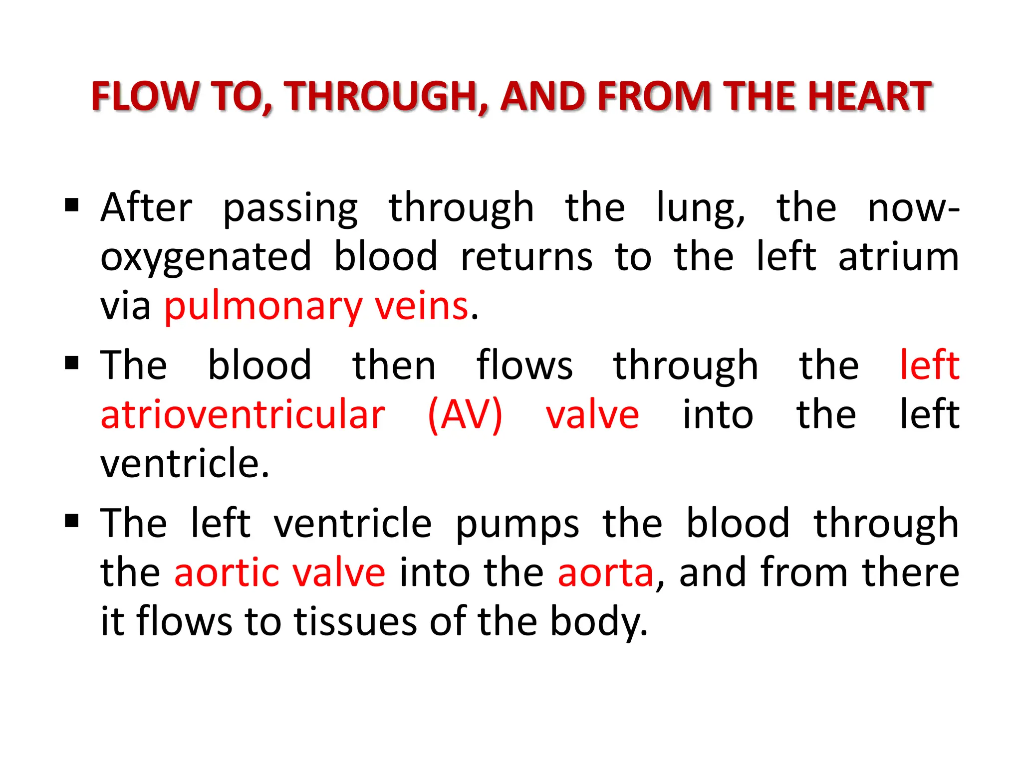 FLOW TO, THROUGH, AND FROM THE HEART
 After passing through the lung, the now-
oxygenated blood returns to the left atrium
via pulmonary veins.
 The blood then flows through the left
atrioventricular (AV) valve into the left
ventricle.
 The left ventricle pumps the blood through
the aortic valve into the aorta, and from there
it flows to tissues of the body.
 