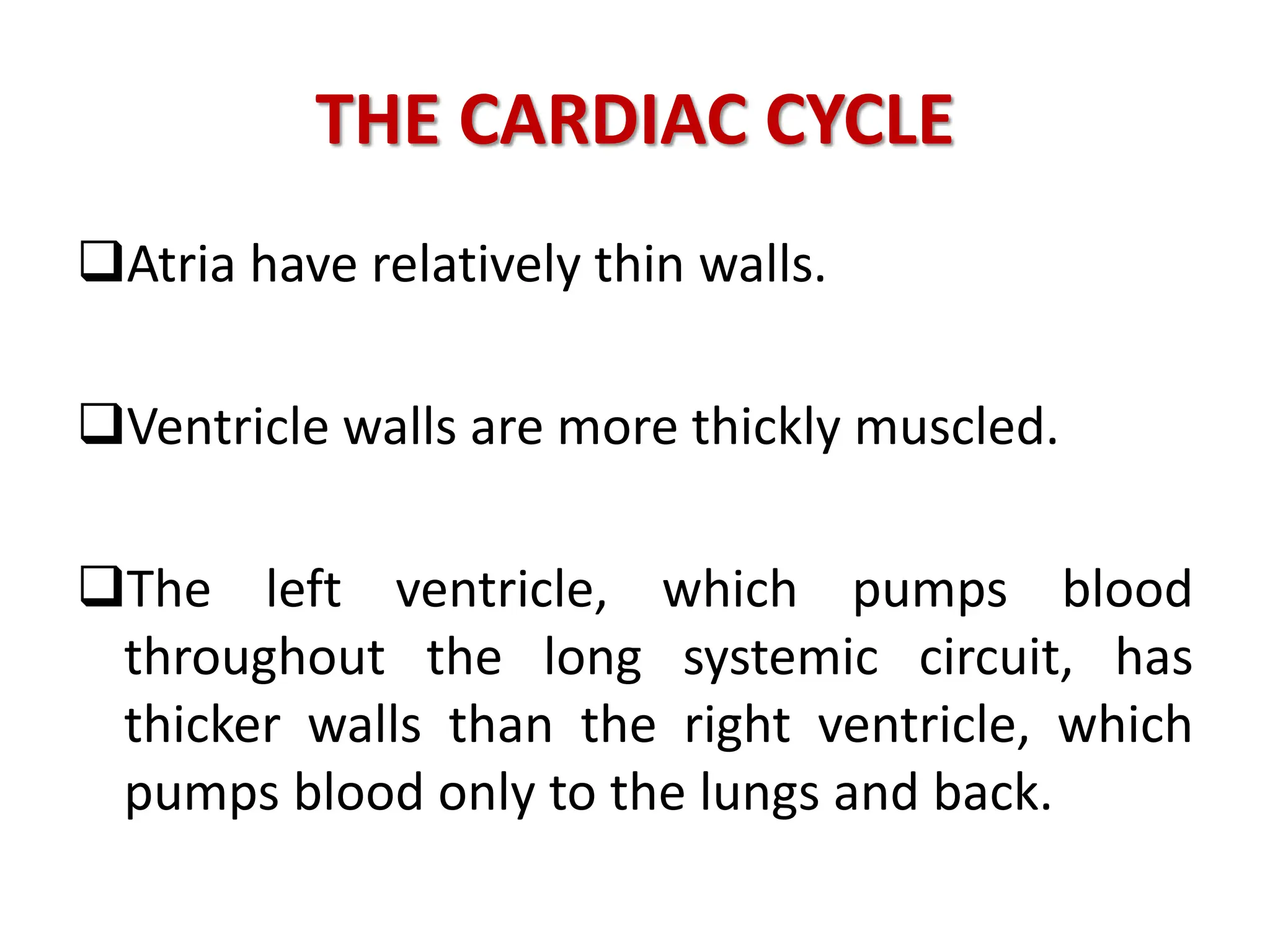 THE CARDIAC CYCLE
Atria have relatively thin walls.
Ventricle walls are more thickly muscled.
The left ventricle, which pumps blood
throughout the long systemic circuit, has
thicker walls than the right ventricle, which
pumps blood only to the lungs and back.
 
