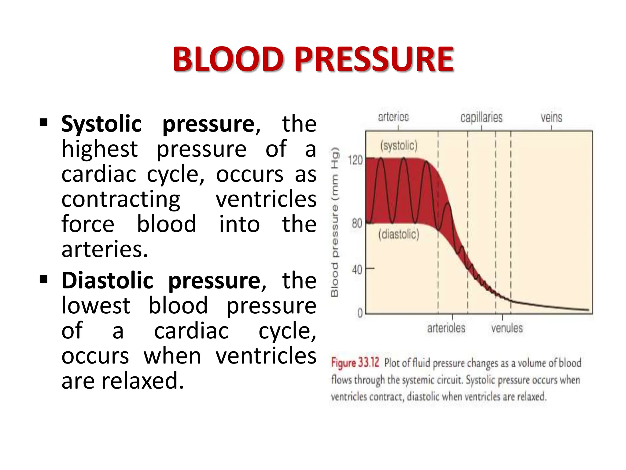 BLOOD PRESSURE
 Systolic pressure, the
highest pressure of a
cardiac cycle, occurs as
contracting ventricles
force blood into the
arteries.
 Diastolic pressure, the
lowest blood pressure
of a cardiac cycle,
occurs when ventricles
are relaxed.
 