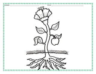 NOMBRE: ____________________________________________ FECHA: ________________________________________________
 