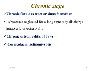 Chronic fistulous tract or sinus formation
• Abscesses neglected for a long time may discharge
intraorally or extra orally
Chronic osteomyelitis of Jaws
 Cervicofacial actinomycosis
11
Chronic stage
12/19/2023
 