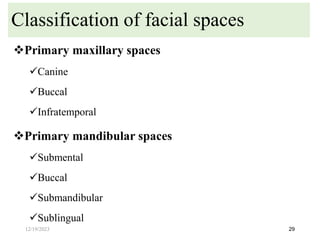 Primary maxillary spaces
Canine
Buccal
Infratemporal
Primary mandibular spaces
Submental
Buccal
Submandibular
Sublingual
29
Classification of facial spaces
12/19/2023
 