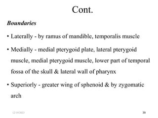 Boundaries
• Laterally - by ramus of mandible, temporalis muscle
• Medially - medial pterygoid plate, lateral pterygoid
muscle, medial pterygoid muscle, lower part of temporal
fossa of the skull & lateral wall of pharynx
• Superiorly - greater wing of sphenoid & by zygomatic
arch
39
Cont.
12/19/2023
 