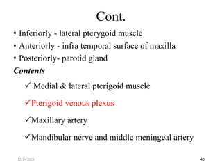 • Inferiorly - lateral pterygoid muscle
• Anteriorly - infra temporal surface of maxilla
• Posteriorly- parotid gland
Contents
 Medial & lateral pterigoid muscle
Pterigoid venous plexus
Maxillary artery
Mandibular nerve and middle meningeal artery
40
Cont.
12/19/2023
 