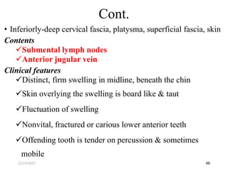 • Inferiorly-deep cervical fascia, platysma, superficial fascia, skin
Contents
Submental lymph nodes
Anterior jugular vein
Clinical features
Distinct, firm swelling in midline, beneath the chin
Skin overlying the swelling is board like & taut
Fluctuation of swelling
Nonvital, fractured or carious lower anterior teeth
Offending tooth is tender on percussion & sometimes
mobile
46
Cont.
12/19/2023
 