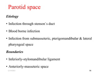 Etiology
• Infection through stenson`s duct
• Blood borne infection
• Infection from submasseteric, pterigomandibular & lateral
pharyngeal space
Boundaries
• Inferiorly-stylomandibular ligament
• Anteriorly-masseteric space
56
Parotid space
12/19/2023
 