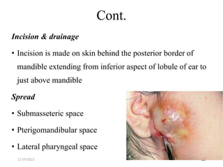 Incision & drainage
• Incision is made on skin behind the posterior border of
mandible extending from inferior aspect of lobule of ear to
just above mandible
Spread
• Submasseteric space
• Pterigomandibular space
• Lateral pharyngeal space
59
Cont.
12/19/2023
 