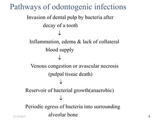 Invasion of dental pulp by bacteria after
decay of a tooth

Inflammation, edema & lack of collateral
blood supply

Venous congestion or avascular necrosis
(pulpal tissue death)

Reservoir of bacterial growth(anaerobic)

Periodic egress of bacteria into surrounding
alveolar bone 6
Pathways of odontogenic infections
12/19/2023
 