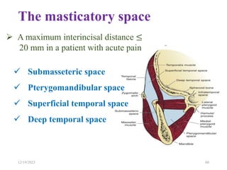The masticatory space
60
12/19/2023
 Submasseteric space
 Pterygomandibular space
 Superficial temporal space
 Deep temporal space
 A maximum interincisal distance ≤
20 mm in a patient with acute pain
 