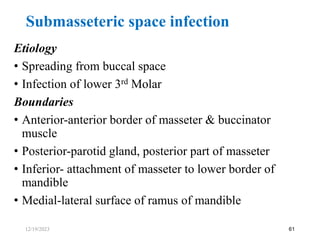 Etiology
• Spreading from buccal space
• Infection of lower 3rd Molar
Boundaries
• Anterior-anterior border of masseter & buccinator
muscle
• Posterior-parotid gland, posterior part of masseter
• Inferior- attachment of masseter to lower border of
mandible
• Medial-lateral surface of ramus of mandible
61
Submasseteric space infection
12/19/2023
 