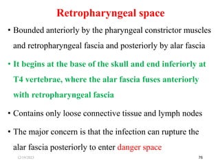 • Bounded anteriorly by the pharyngeal constrictor muscles
and retropharyngeal fascia and posteriorly by alar fascia
• It begins at the base of the skull and end inferiorly at
T4 vertebrae, where the alar fascia fuses anteriorly
with retropharyngeal fascia
• Contains only loose connective tissue and lymph nodes
• The major concern is that the infection can rupture the
alar fascia posteriorly to enter danger space
76
Retropharyngeal space
12/19/2023
 