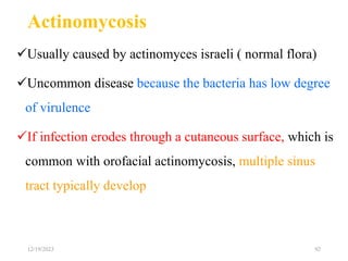 Actinomycosis
Usually caused by actinomyces israeli ( normal flora)
Uncommon disease because the bacteria has low degree
of virulence
If infection erodes through a cutaneous surface, which is
common with orofacial actinomycosis, multiple sinus
tract typically develop
92
12/19/2023
 