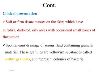 Cont.
Clinical presentation
Soft or firm tissue masses on the skin; which have
purplish, dark-red, oily areas with occasional small zones of
fluctuation
Spontaneous drainage of serous fluid containing granular
material. These granules are yellowish substances called
sulfur granules, and represent colonies of bacteria
93
12/19/2023
 