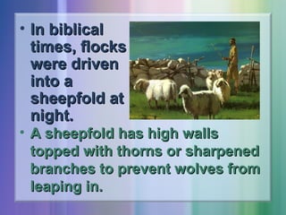 • In biblical
times, flocks
were driven
into a
sheepfold at
night.

• A sheepfold has high walls
topped with thorns or sharpened
branches to prevent wolves from
leaping in.

 