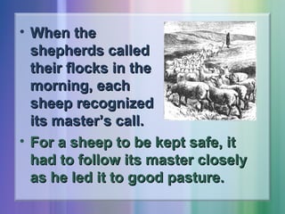 • When the
shepherds called
their flocks in the
morning, each
sheep recognized
its master’s call.
• For a sheep to be kept safe, it
had to follow its master closely
as he led it to good pasture.

 